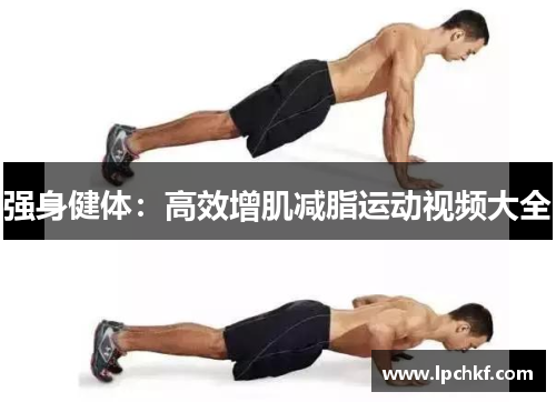 强身健体：高效增肌减脂运动视频大全